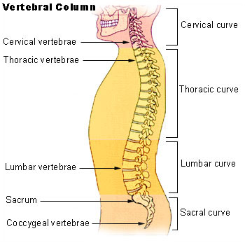 Spinal Cord Stimulation treatment